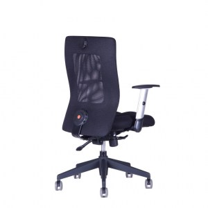 Calypso XL BP (23)